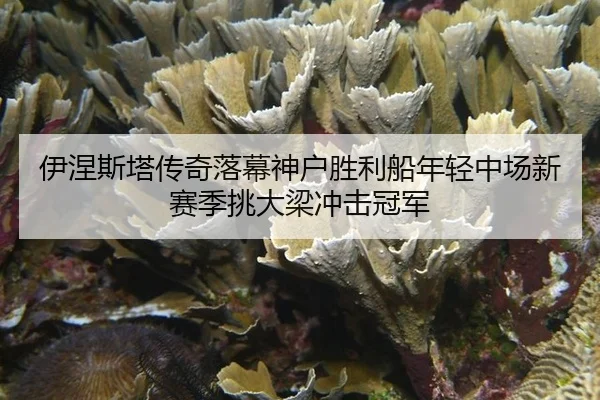 yi-nie-si-ta-chuan-qi-luo-mu-shen-hu-sheng-li-chuan-nian-qing-zhong-chang-xin-sai-ji-tiao-da-liang-chong-ji-guan-jun-2-227.jpg