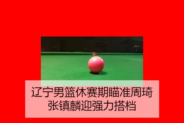 辽宁男篮休赛期瞄准周琦 张镇麟迎强力搭档